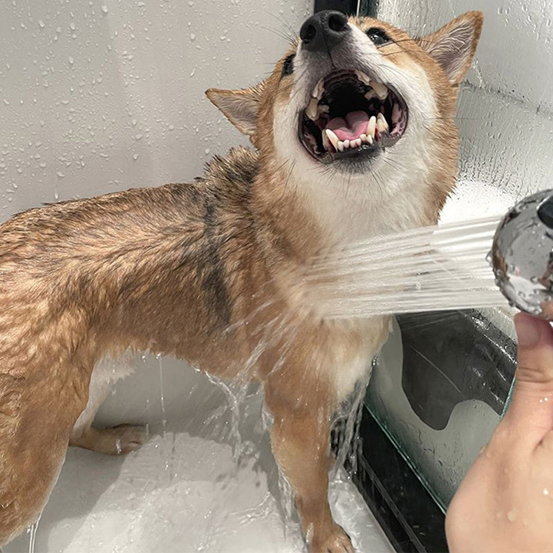 Shower Head For Pets Bathroom Barber Shop Small Hand Shower Soft Shower Head Without Pressure